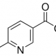6-氯烟酸 CAS号 5326-23-8 结构式