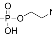 O-磷酸乙醇胺 CAS号 1071-23-4 结构式