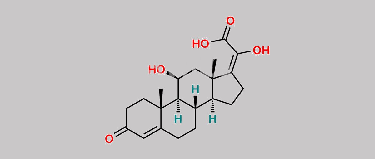 Hydrocortisone Oxo Acetic Acid (EIsomer) CAS号 N/A Watson(沃森)