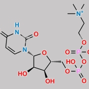 CAS molecular structure